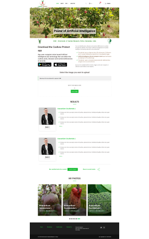 Cashew Protect brand website screenshot